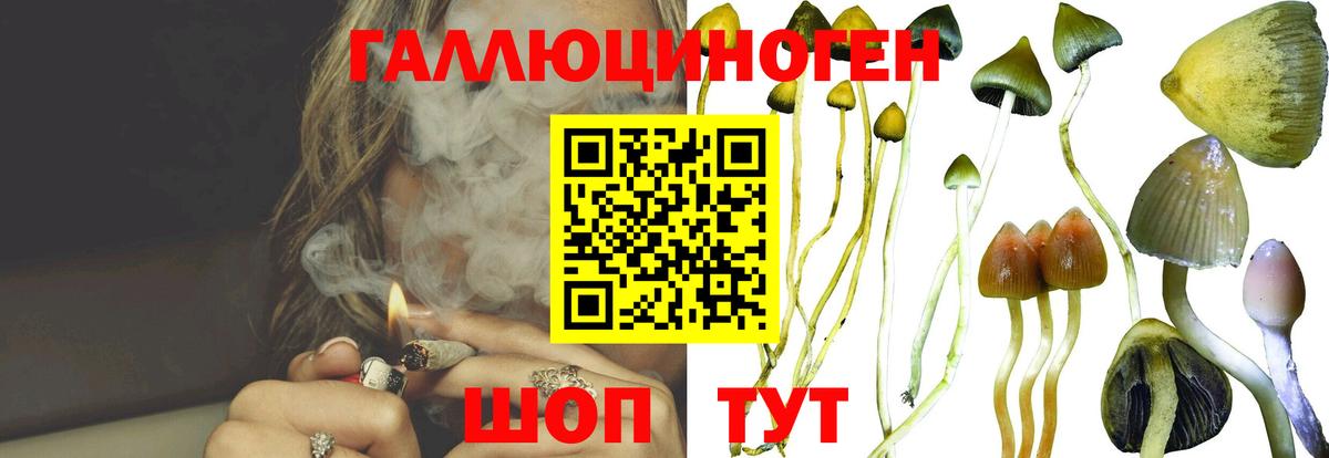 Псилоцибиновые грибы мухоморы  Галлюциногенные грибы Magic Shrooms  купить наркотик  Вход с VPN  Дедовск 